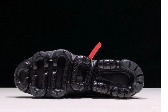 VaporMax Air AA3831-001 O-W  0216